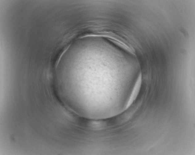 X0000115730277200911251944