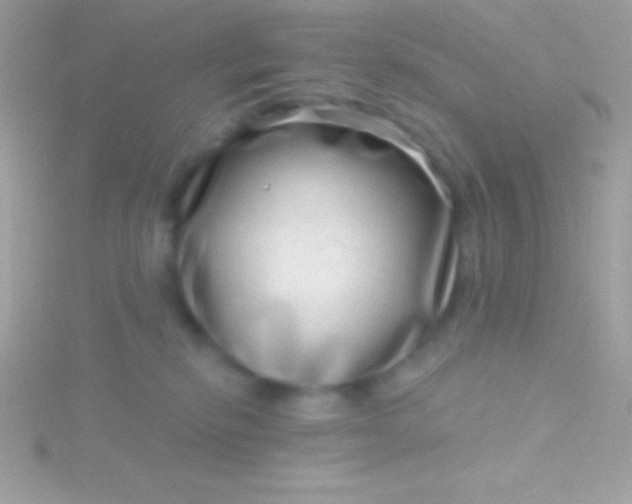 X0000115730278200911251944