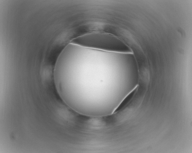 X0000115730280200911251944