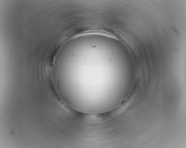 X0000115730281200911251944