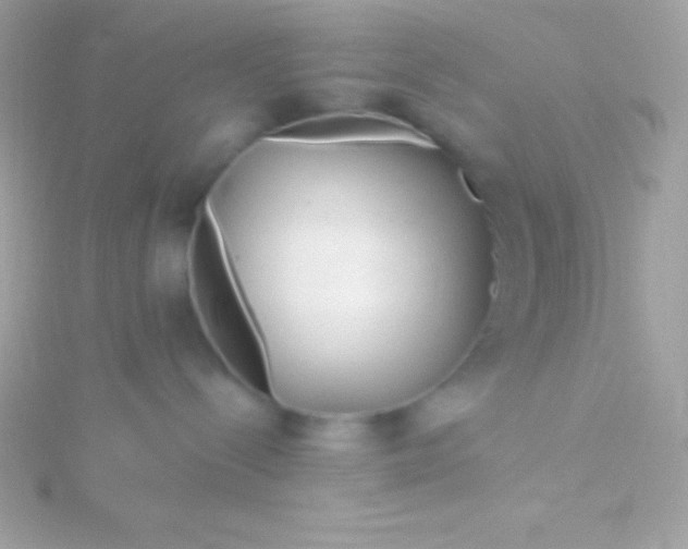 X0000115730288200911251944