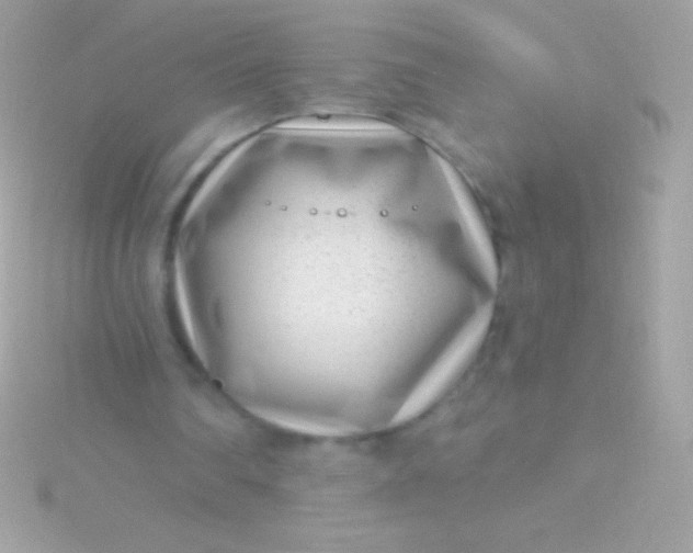 X0000115730290200911251944