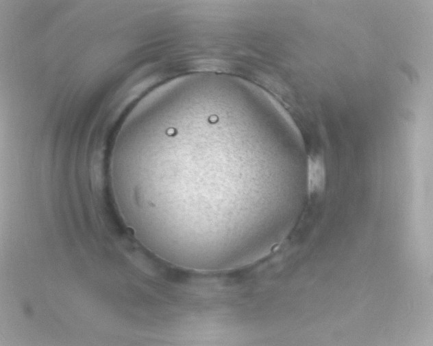 X0000115730291200911251944