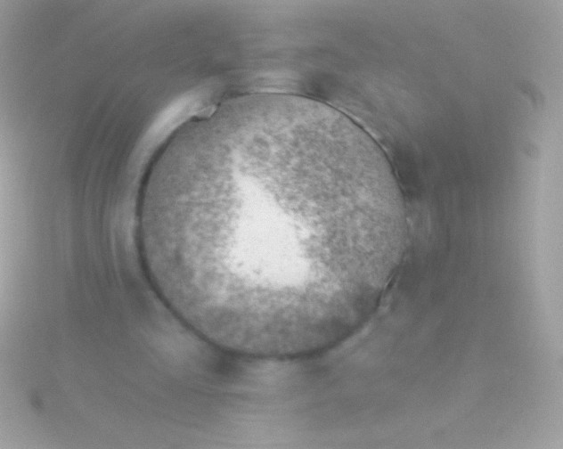 X0000115730293200911251944