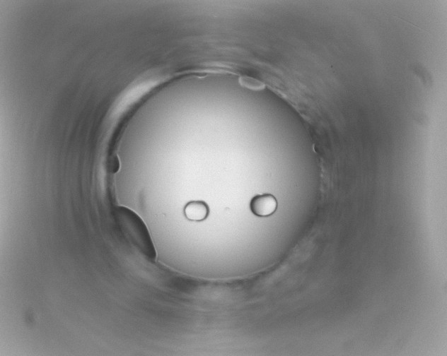 X0000115730294200911251944