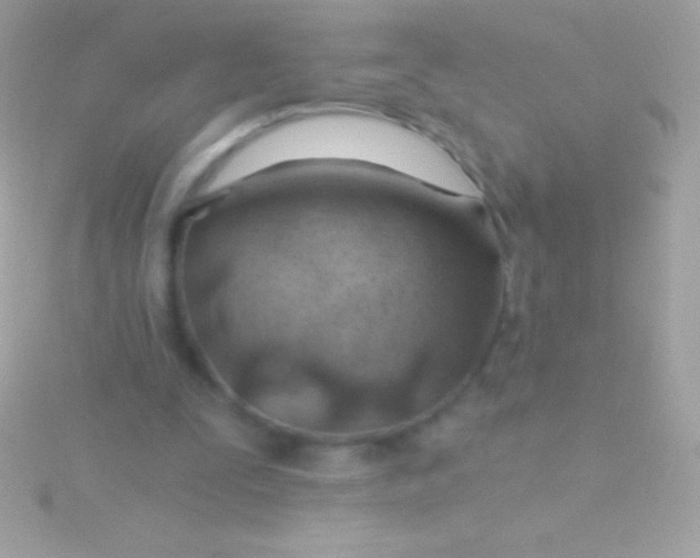 X0000115730295200911251944