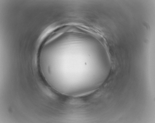 X0000115730296200911251944