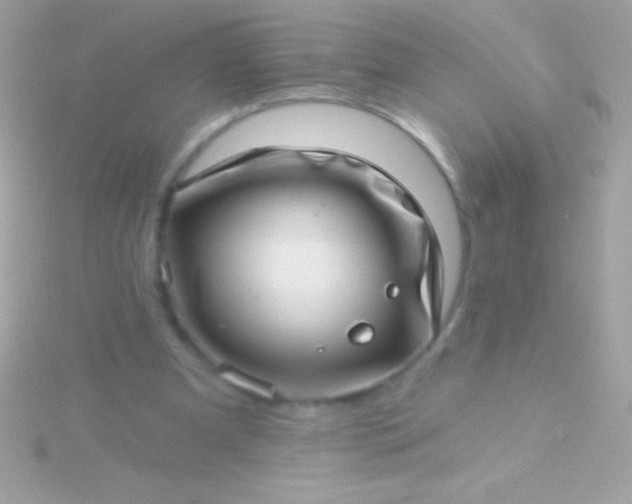 X0000115730297200911251944