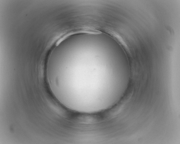 X0000115730299200911251944