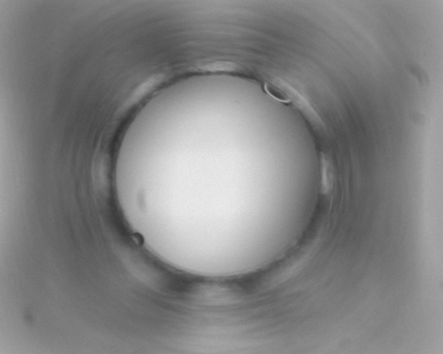 X0000115730300200911251944