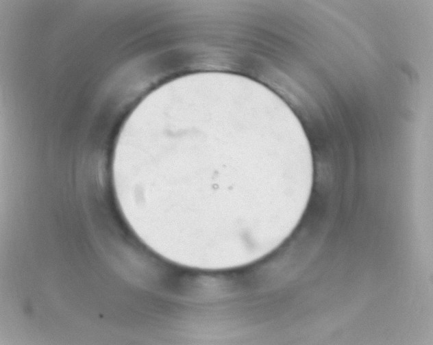 X0000115730302200911251944