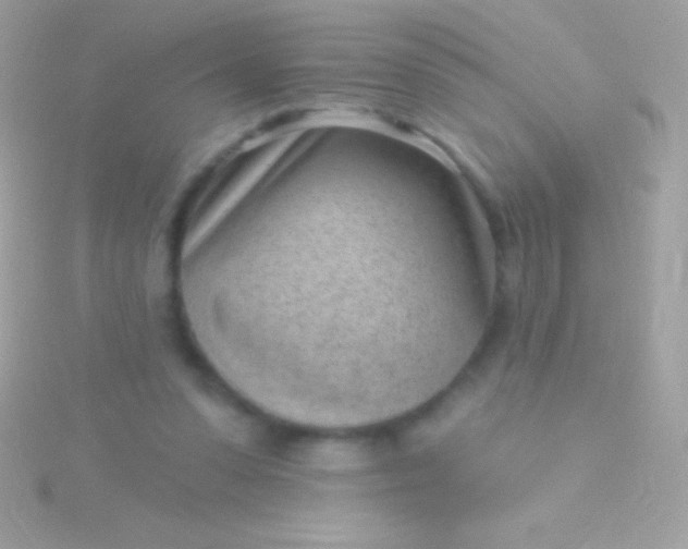 X0000115730303200911251944