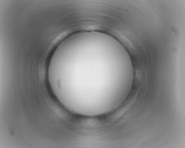 X0000115730304200911251944