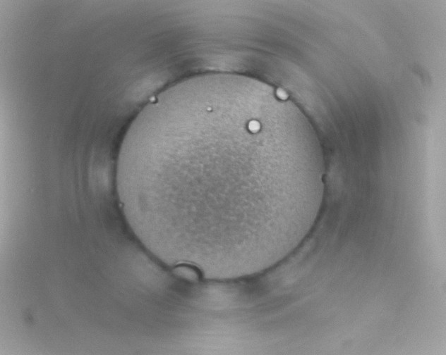 X0000115730305200911251944