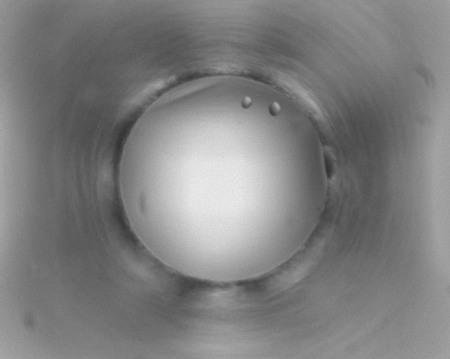 X0000115730306200911251944