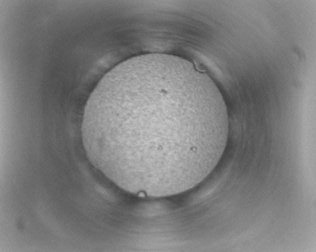 X0000115730307200911251944