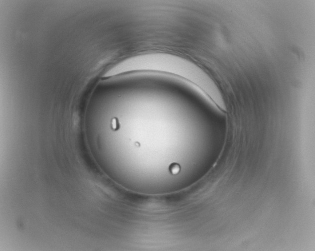 X0000115730308200911251944