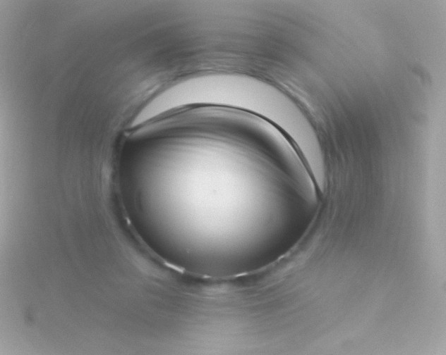 X0000115730309200911251944