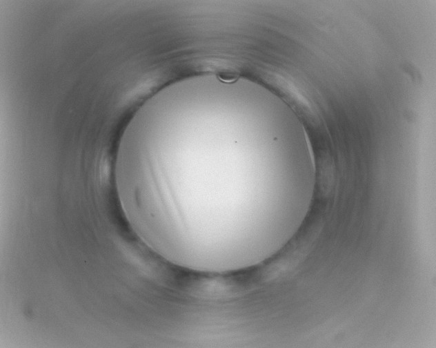 X0000115730310200911251944