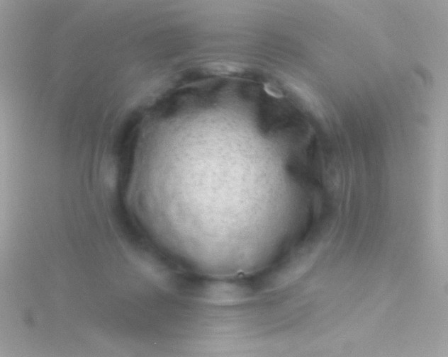 X0000115730315200911251944