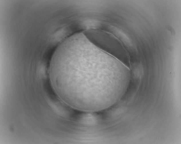 X0000115730316200911251944