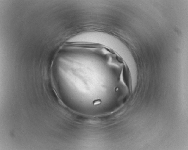 X0000115730317200911251943