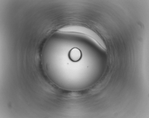 X0000115730320200911251943