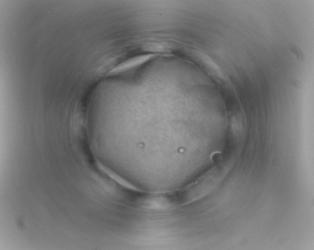 X0000115730322200911251943