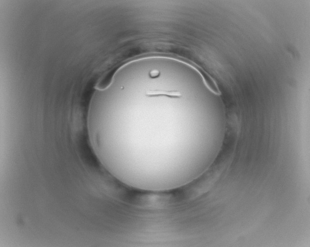 X0000115730323200911251943