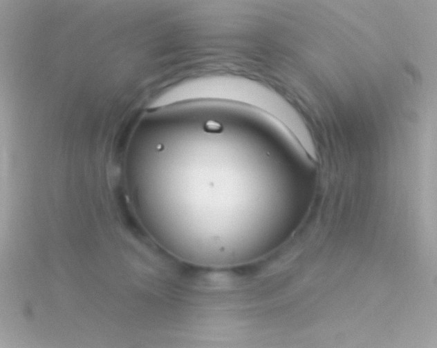 X0000115730324200911251943