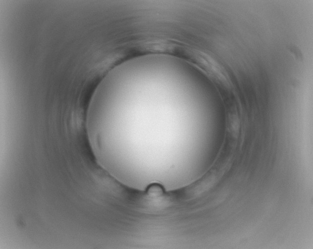 X0000115730326200911251943