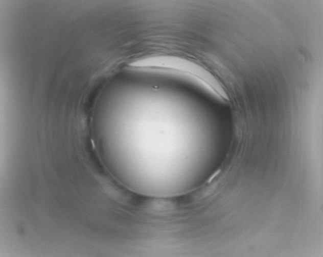 X0000115730327200911251943