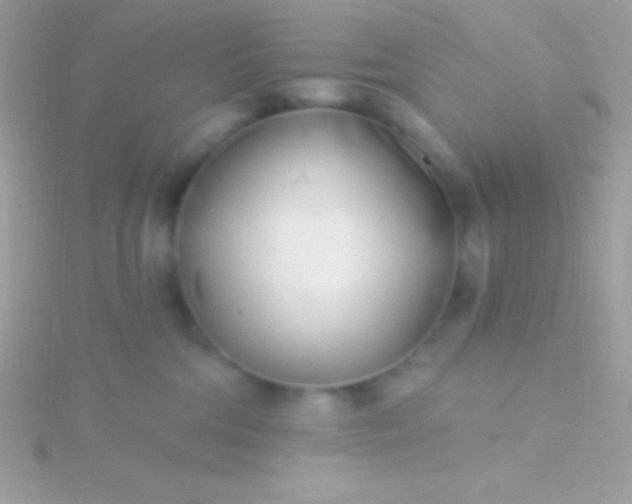 X0000115730330200911251943