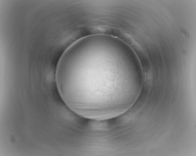 X0000115730331200911251943