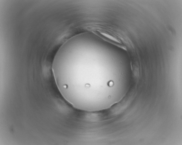 X0000115730332200911251943