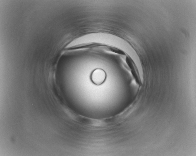 X0000115730333200911251943