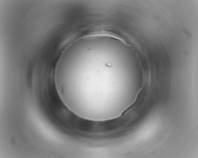 X0000115730335200911251943