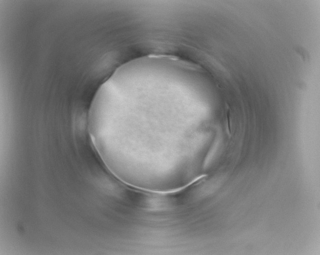 X0000115730336200911251943