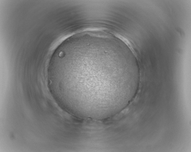 X0000115730337200911251943