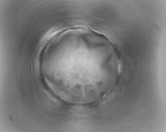 X0000115730339200911251943