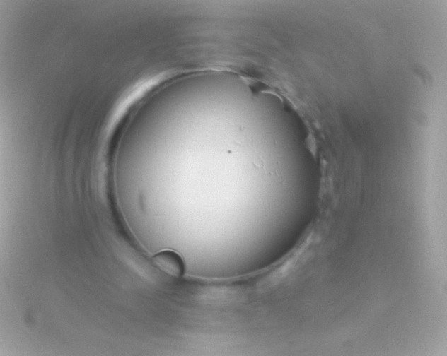 X0000115730342200911251943