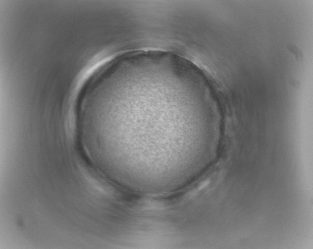 X0000115730343200911251943