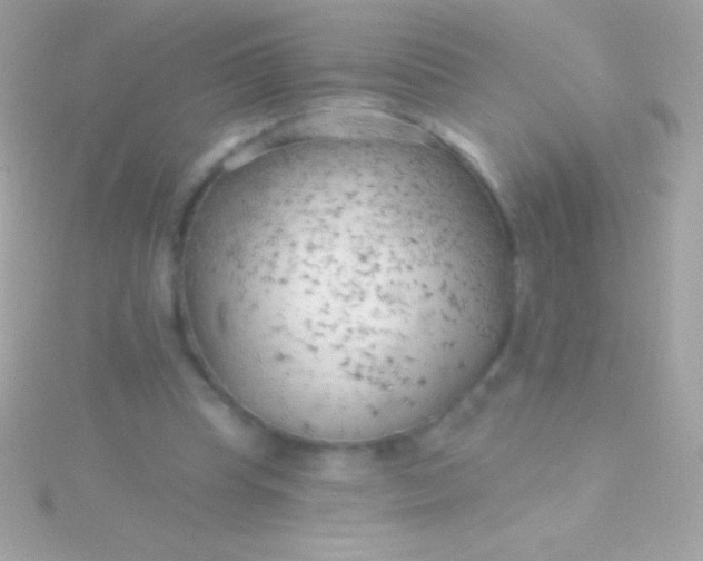 X0000115730345200911251943