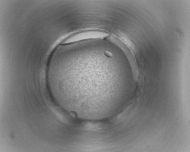 X0000115730346200911251943