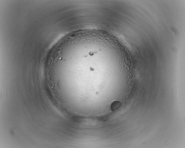 X0000115730347200911251943