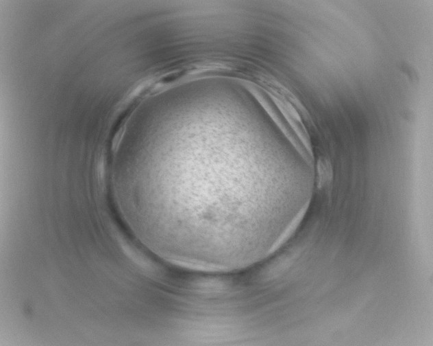 X0000115730349200911251943