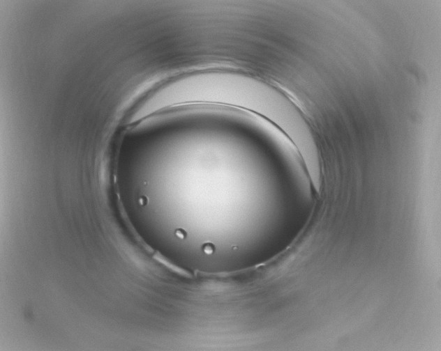 X0000115730350200911251943