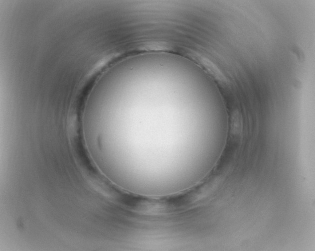 X0000115730351200911251943