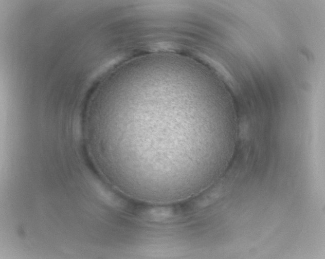 X0000115730353200911251943