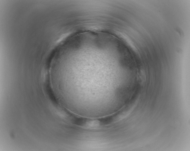 X0000115730355200911251943